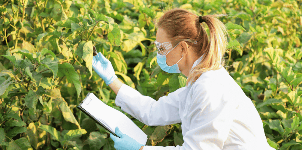 Praca sezonowa Niemcy